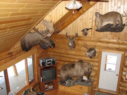 Buck Paradise Outfitters - Paradise Hill Lodge
