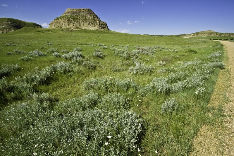 Big Muddy/Outlaw Cave Tours