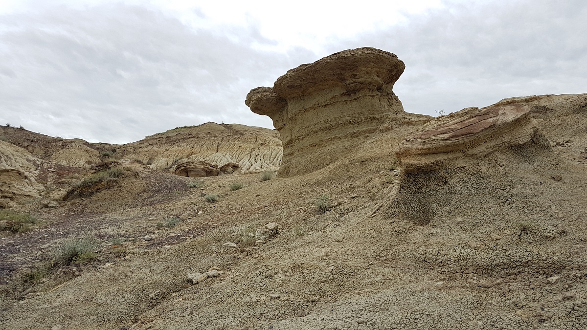 Avonlea Badlands Tour