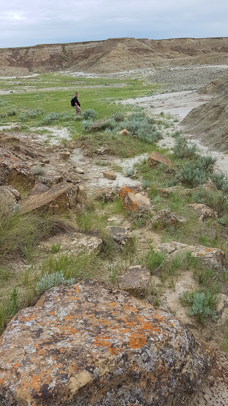Avonlea Badlands Tour