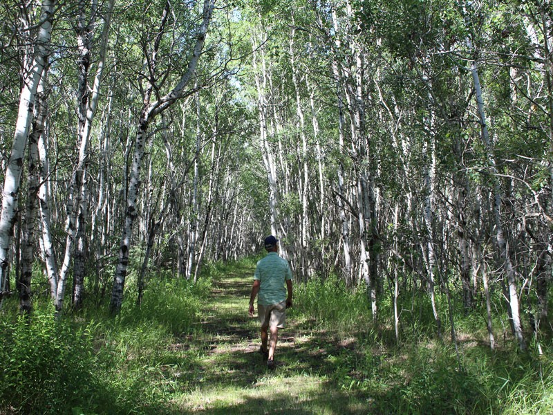 Battlefords Provincial Park Trails