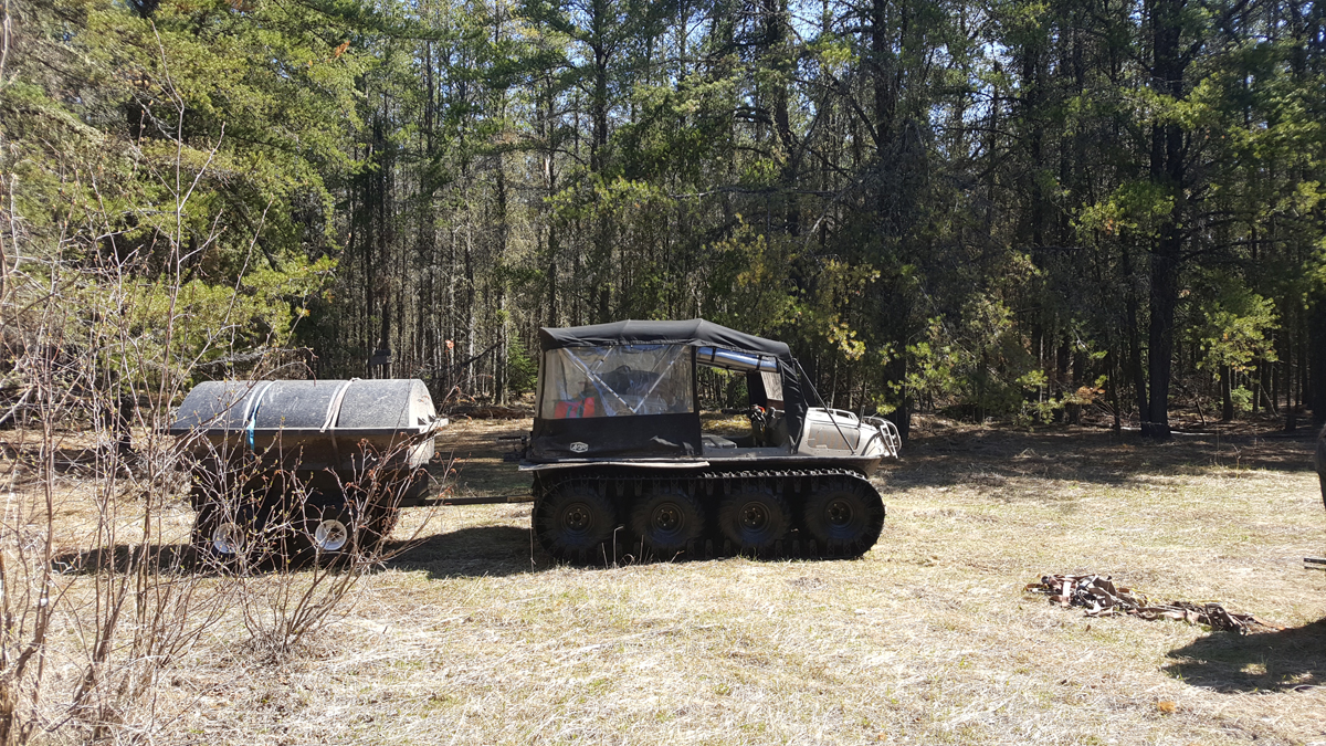 Bear Essential Wilderness Adventures