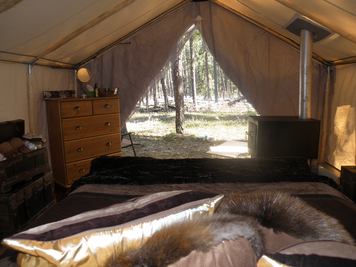 Bear Essential Wilderness Adventures