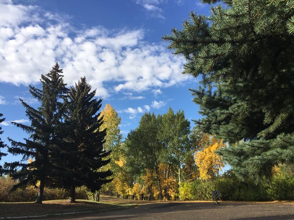 Besant Trans-Canada Campground