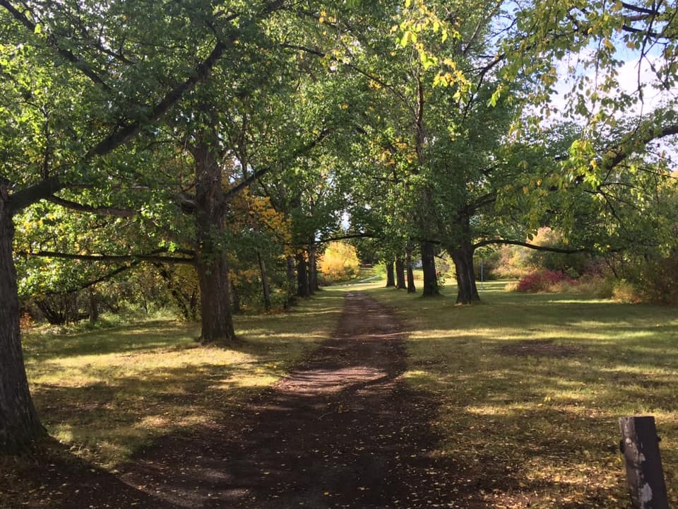 Besant Trans-Canada Campground
