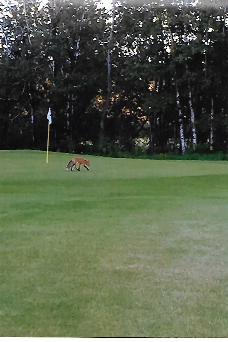 Big River Golf Course