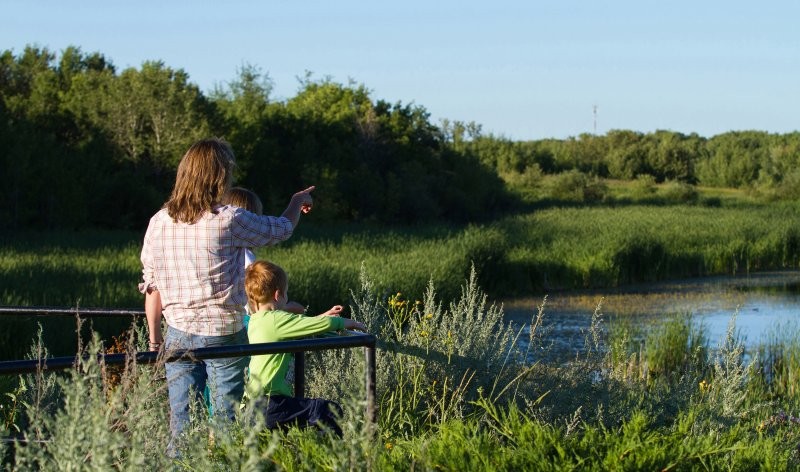 Ravine Ecological Preserve