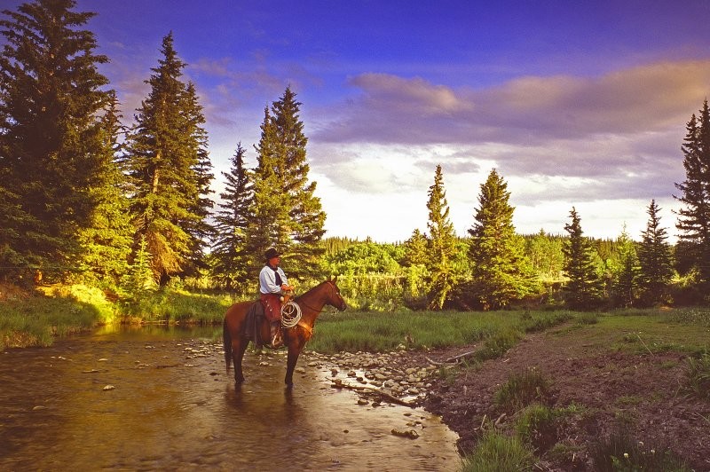 Cypress Hills - Cowboy at Battle Creek