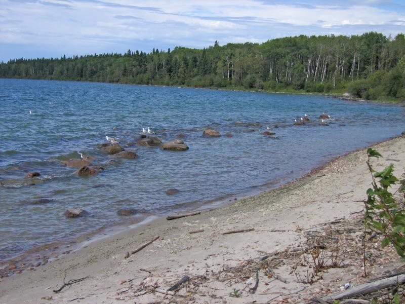 Cold River Campground