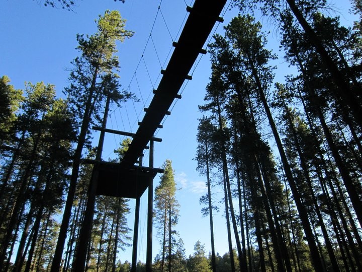 Treeosix Adventure Parks - Cypress Hills