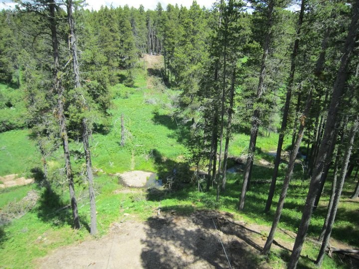 Treeosix Adventure Parks - Cypress Hills