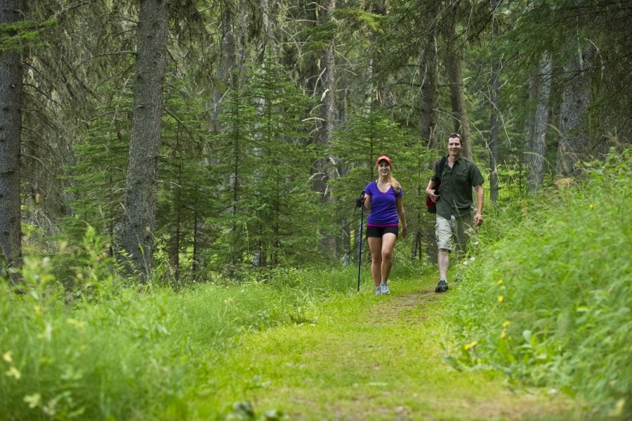 Cypress Hills Provincial Park Trails