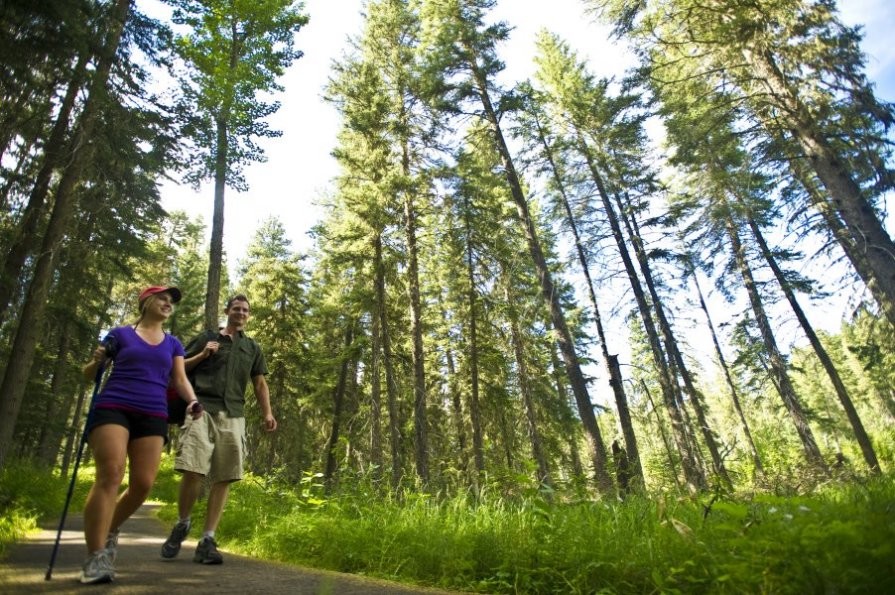 Cypress Hills Provincial Park Trails