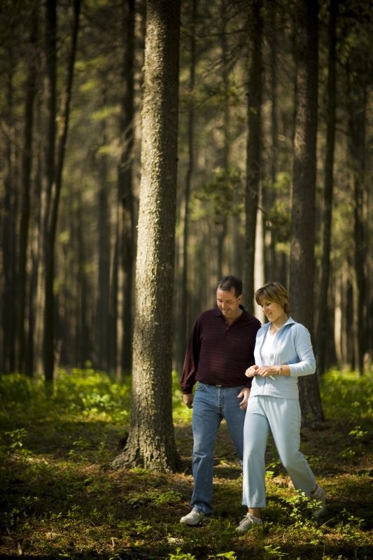 Cypress Hills
