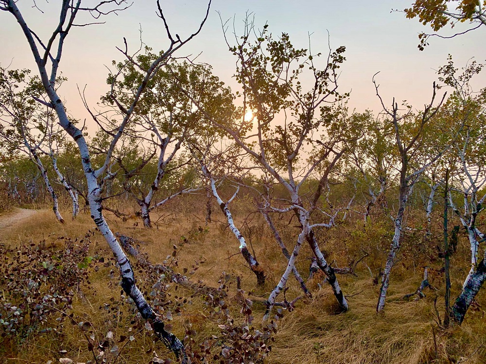 Douglas Provincial Park Trails