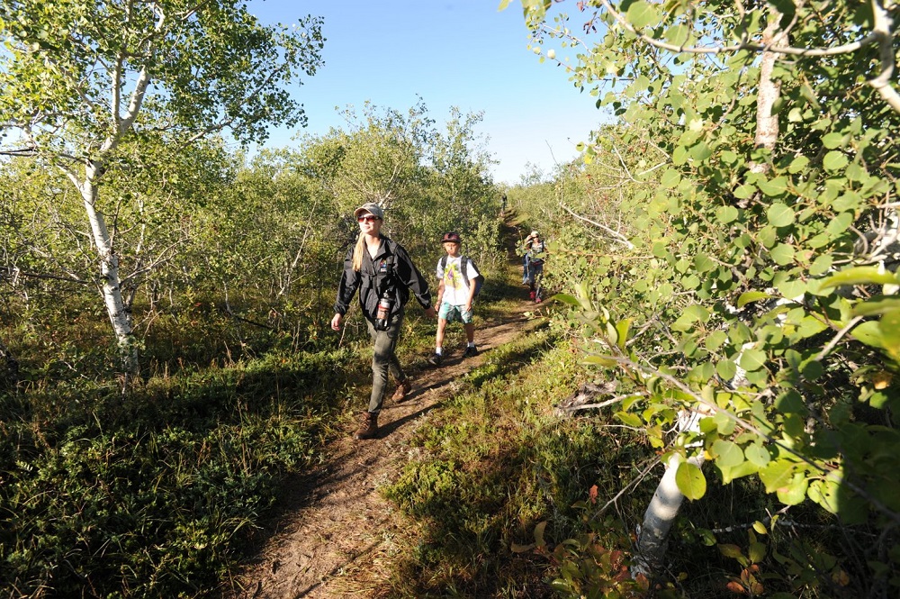 Douglas Provincial Park Trails
