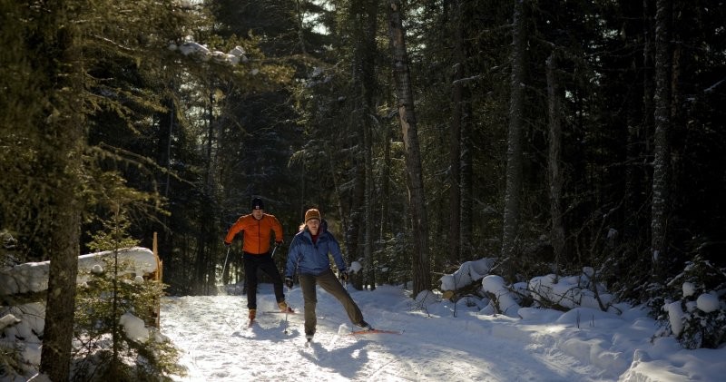 Elk Ridge Resort Trails