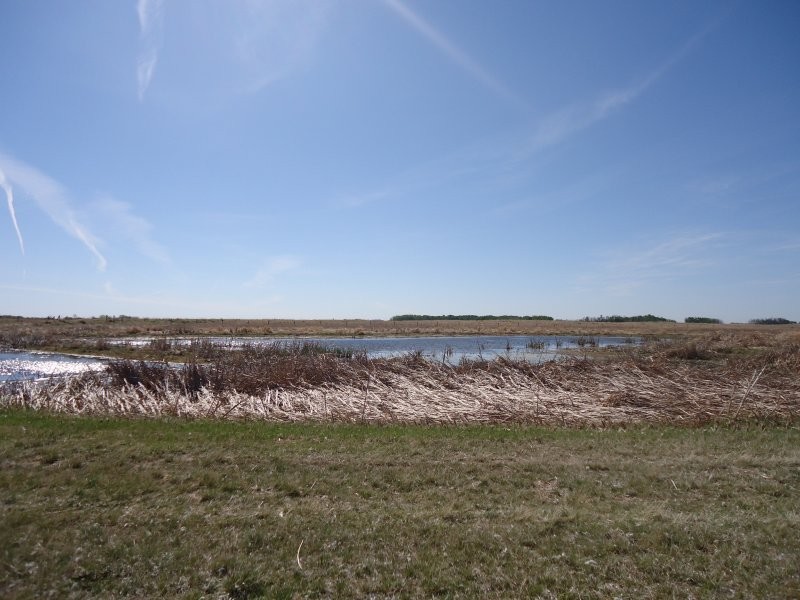 Foam Lake Heritage Marsh and Foam Lake Nature Centre Tourism Saskatchewan