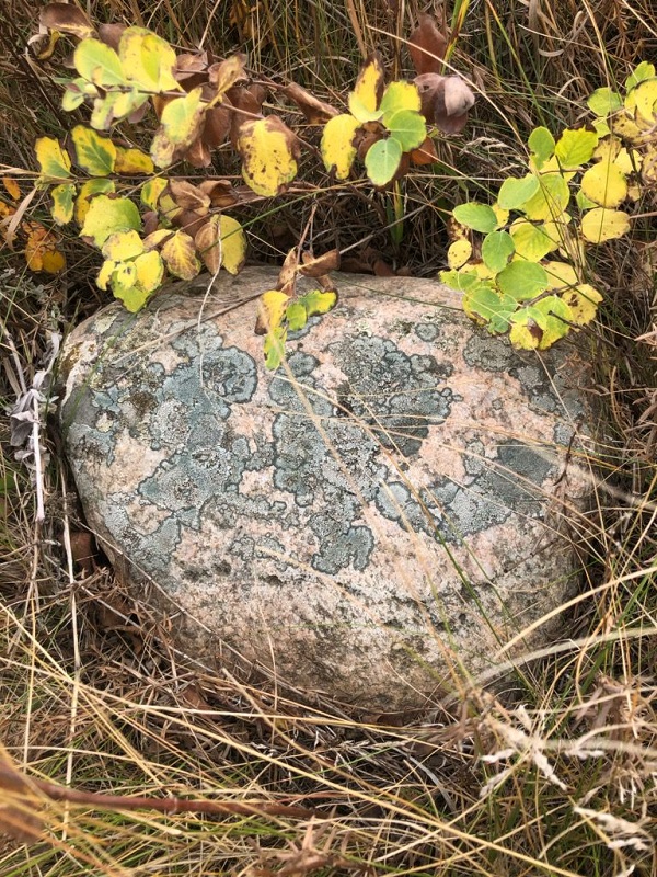 Fairy Hill Trail; Photo: Maggie Fiorante