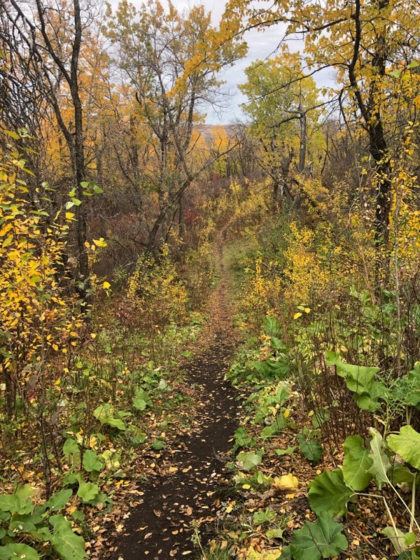 Fairy Hill Trail; Photo: Maggie Fiorante