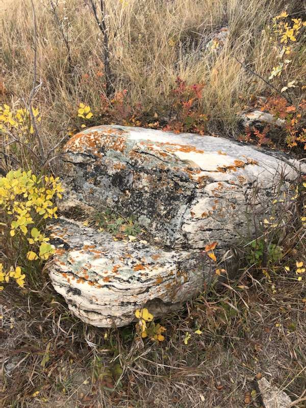 Fairy Hill Trail; Photo: Maggie Fiorante