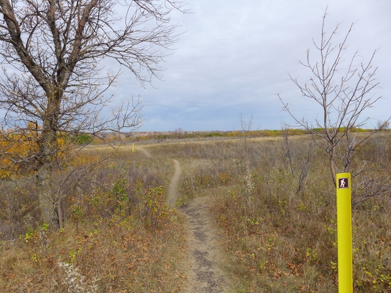 Fairy Hill Trail; Photo: Nick Fiorante