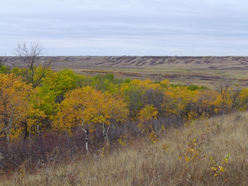 Fairy Hill Trail; Photo: Nick Fiorante