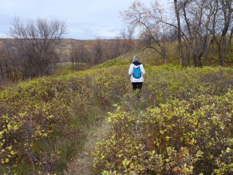 Fairy Hill Trail; Photo: Nick Fiorante