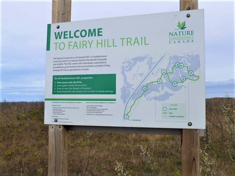 Fairy Hill Trail; Photo: Nick Fiorante