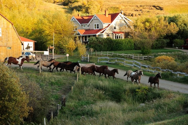 Historic Reesor Ranch