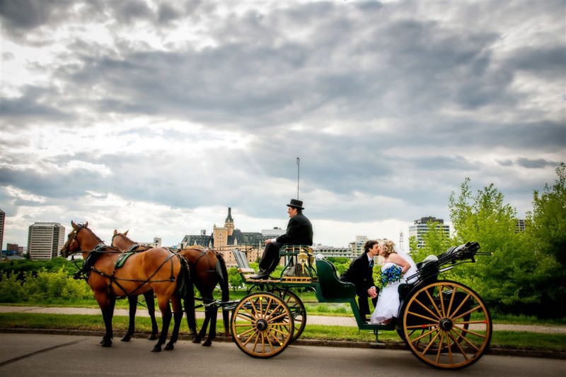 Horse Drawn Rides