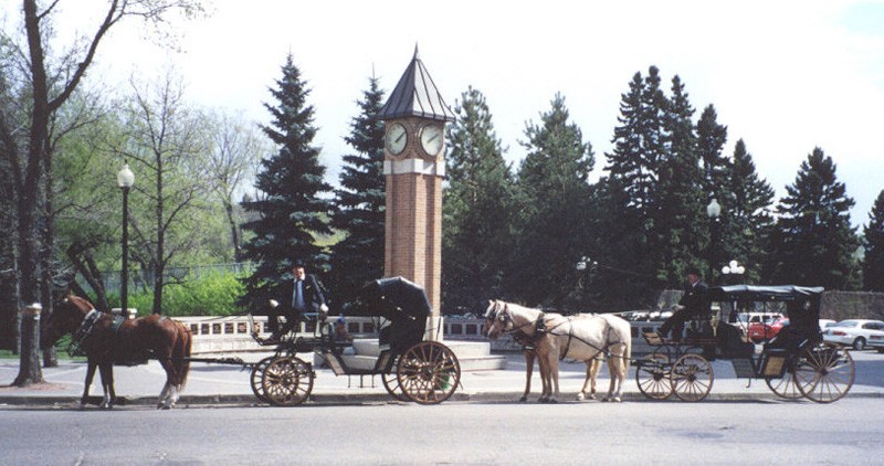 Horse Drawn Rides