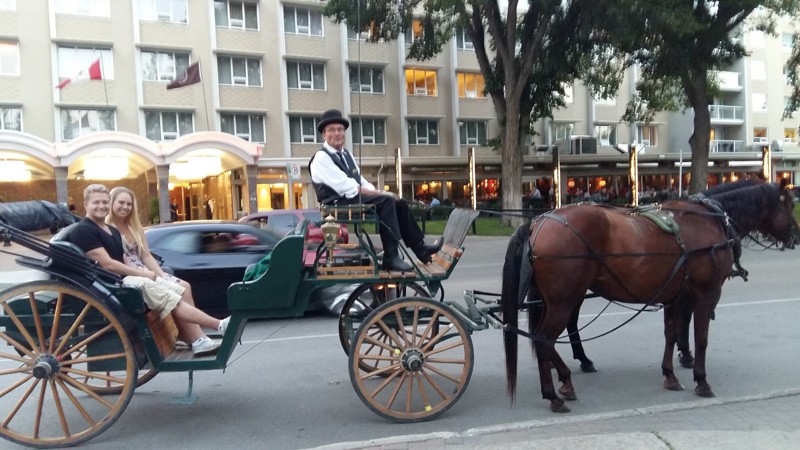 Horse Drawn Rides