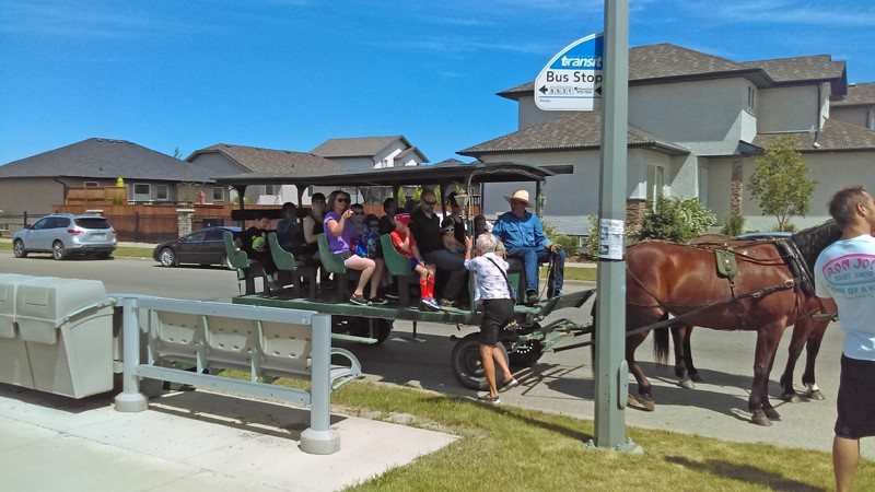 Horse Drawn Rides