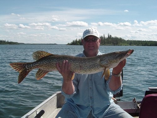 Jan Lake Lodge