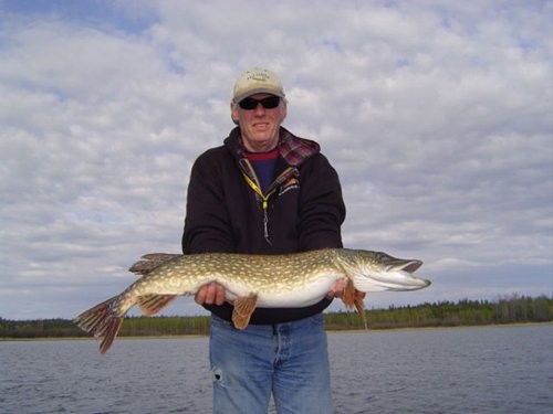 Jan Lake Lodge