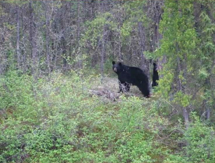 Johnson River Camp | Tourism Saskatchewan