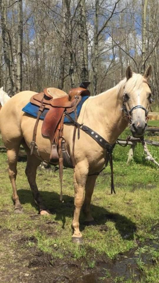 Kenosee Lake Riding Academy