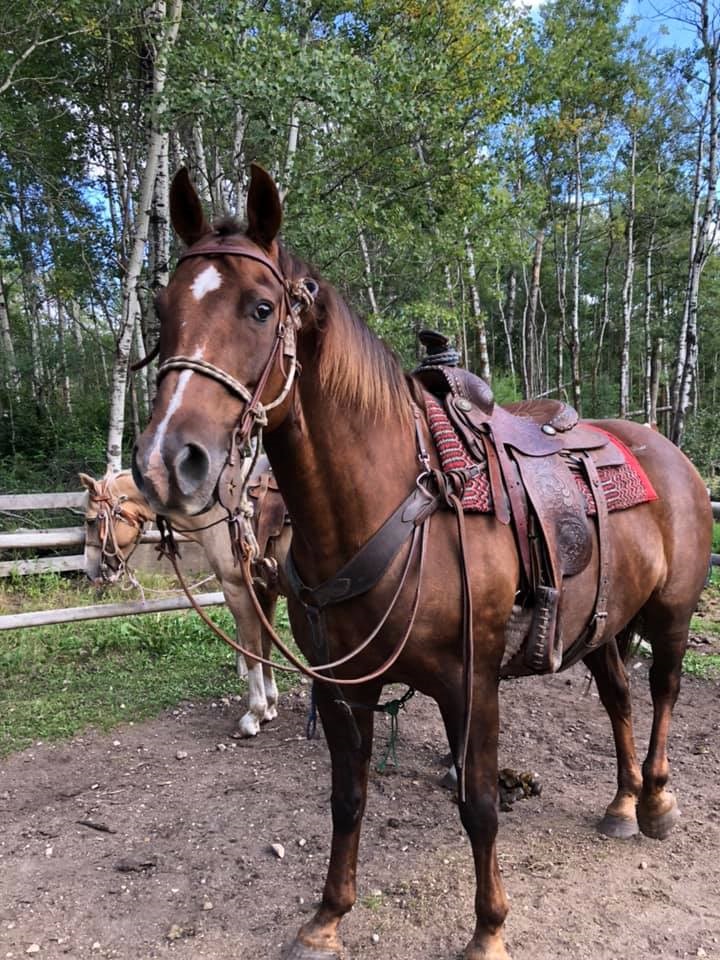 Kenosee Lake Riding Academy