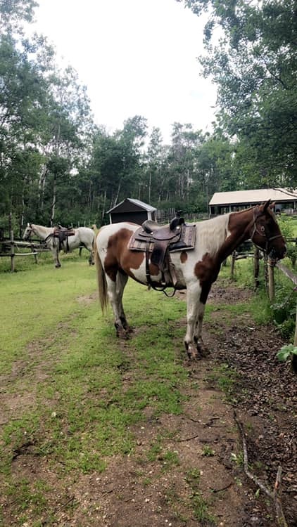 Kenosee Lake Riding Academy