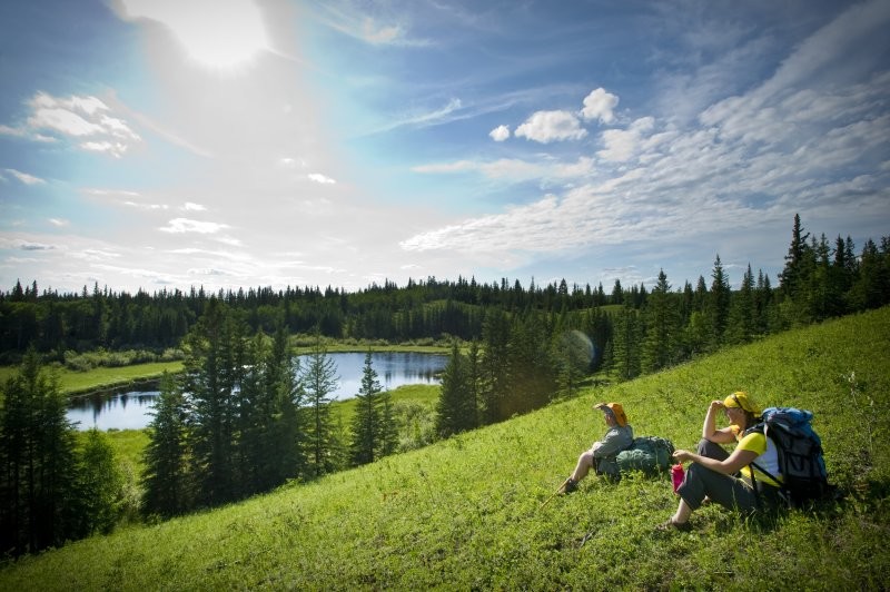 Meadow Lake Provincial Park Boreal Trail | Tourism Saskatchewan