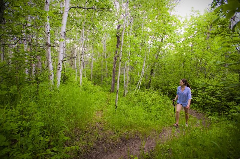 Moose Mountain Provincial Park Trails