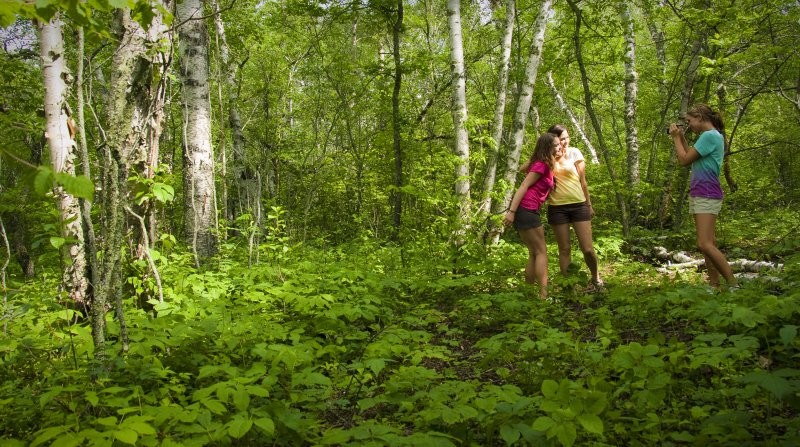 Moose Mountain Provincial Park Trails