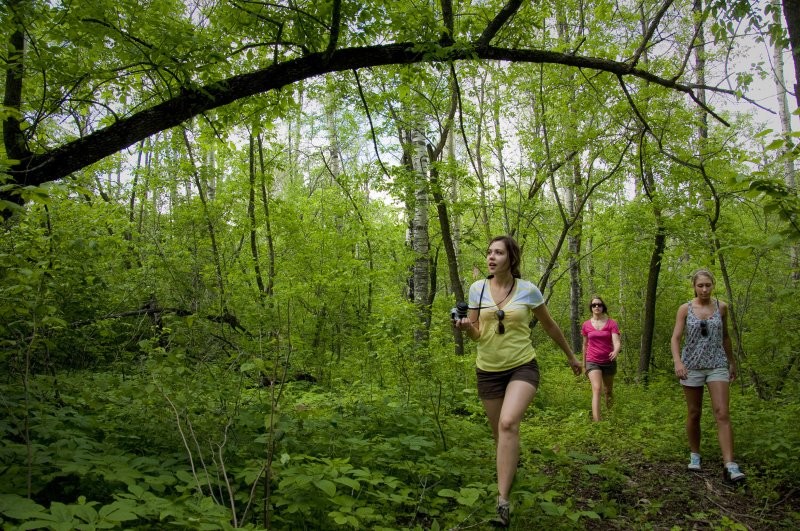 Moose Mountain Provincial Park Trails