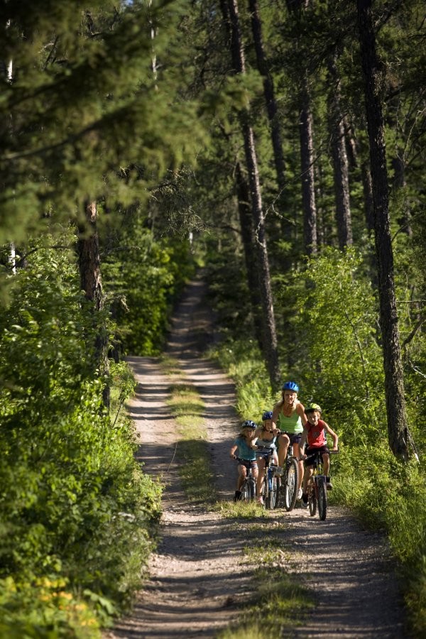 Narrow Hills Provincial Park Trails