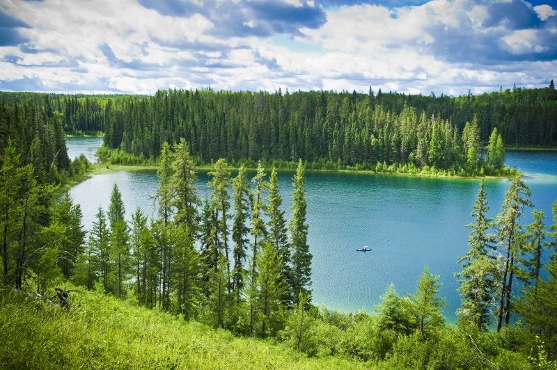 Narrow Hills Provincial Park Trails