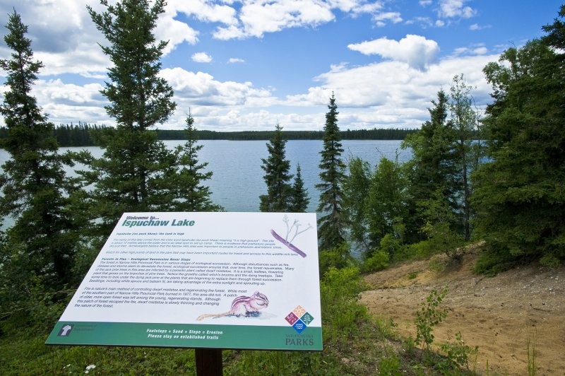 Narrow Hills Provincial Park Trails