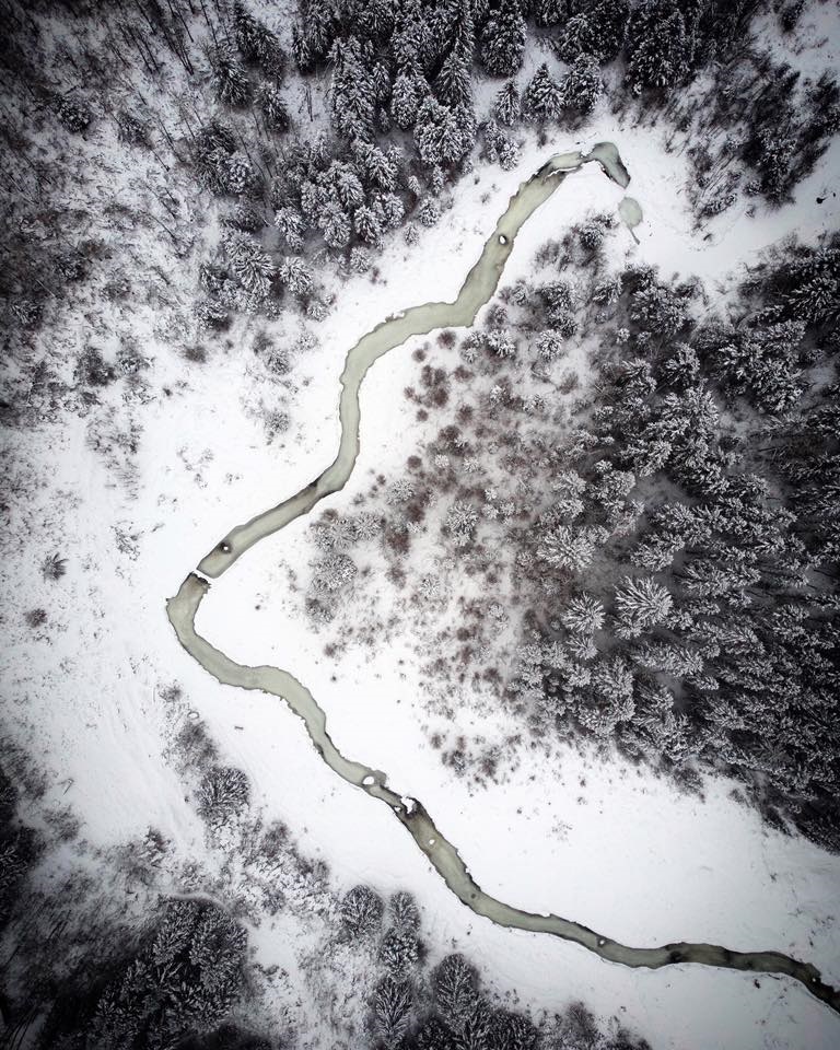 Discover Ness Creek