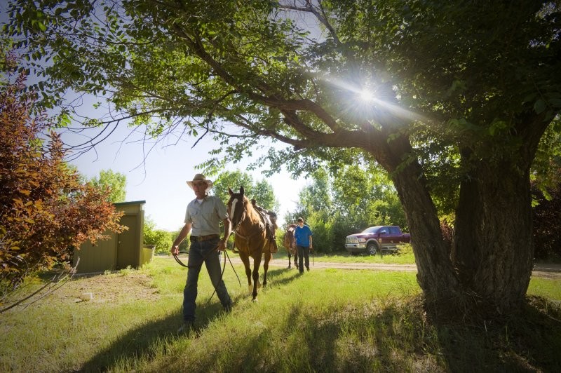 Saskatchewan Landing Provincial Park Trails