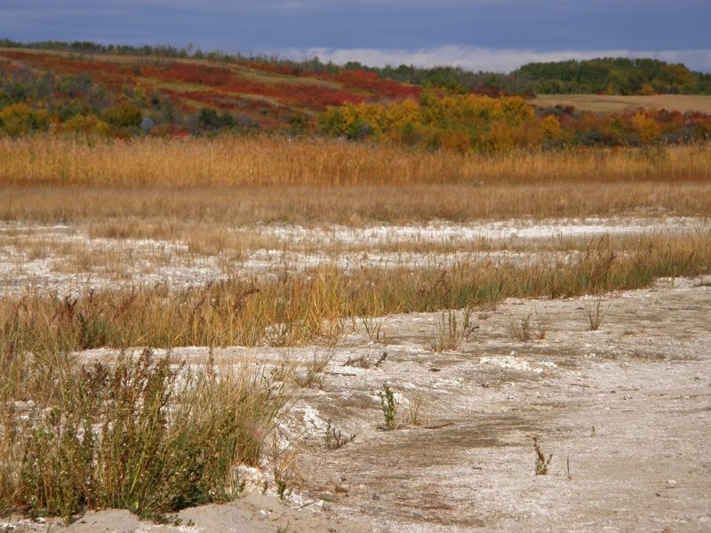 Redberry Lake Regional Park - Image: Kathy Rosenkranz